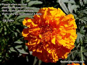 zig_ziglar_quotes Quotes 6